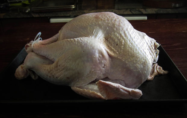 Complete Guide 1 - Whole Turkey