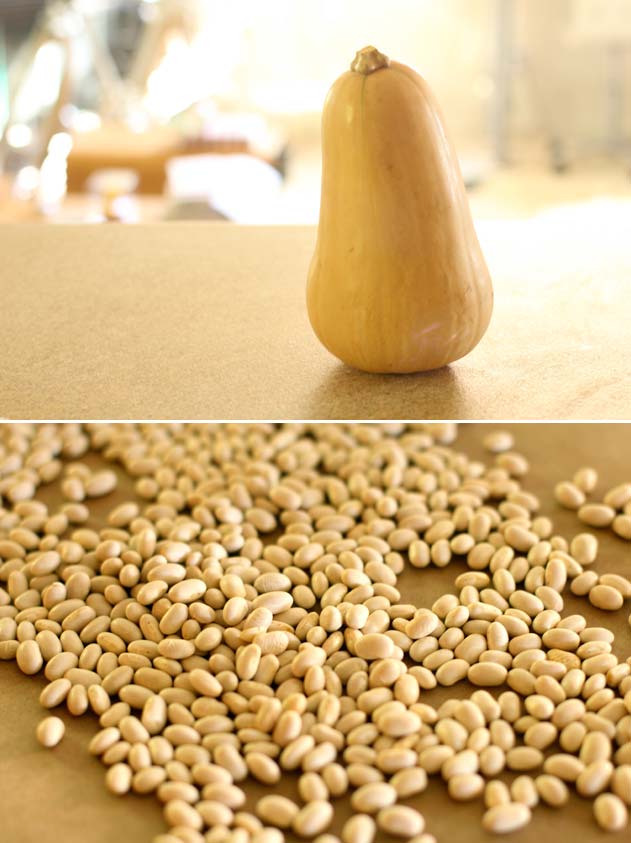Whole Butternut Squash and Dried Navy Beans Whole Butternut Squash and Dried Navy Beans